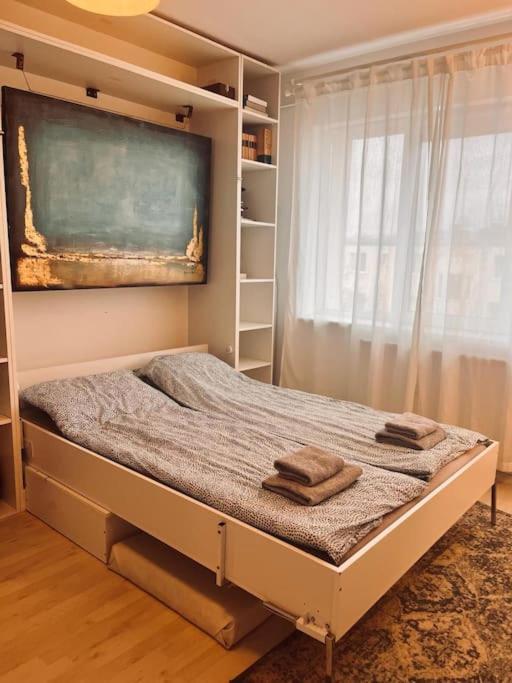 Lorand'S Place Near The River Apartment Cluj-Napoca Ngoại thất bức ảnh